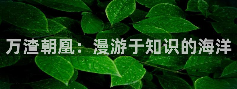 酷漫屋下拉式：万渣朝凰：漫游于知识的海洋