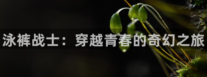 酷漫屋app下载安装：泳裤战士：穿越青春的奇幻之旅