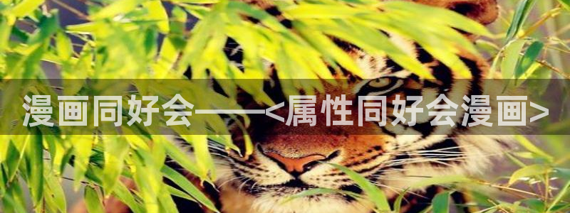 酷漫屋漫画免费漫画页面在线看漫画下载