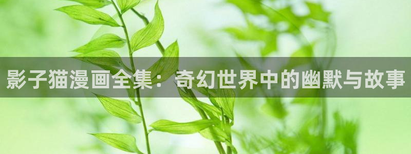 酷漫屋电影在线播放