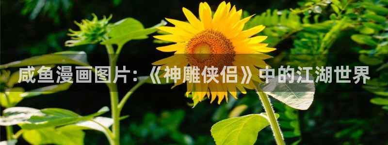 酷漫屋app官方入口：咸鱼漫画图片: 《神雕侠侣》中的江湖世界