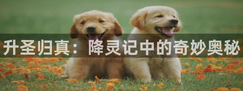 酷漫屋下载：升圣归真：降灵记中的奇妙奥秘