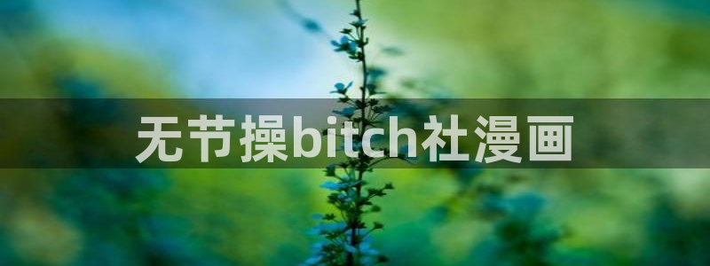 酷漫屋漫画免费漫画页面在线看漫画：无节操bitch社漫画