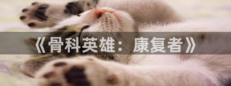酷漫屋电影在线播放：《骨科英雄：康复者》